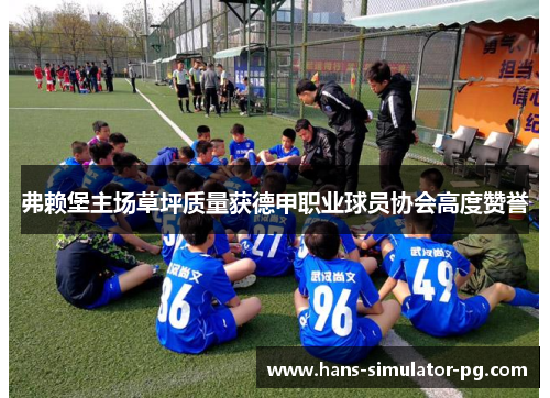 弗赖堡主场草坪质量获德甲职业球员协会高度赞誉