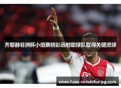 齐耶赫非洲杯小组赛精彩远射助球队取得关键进球